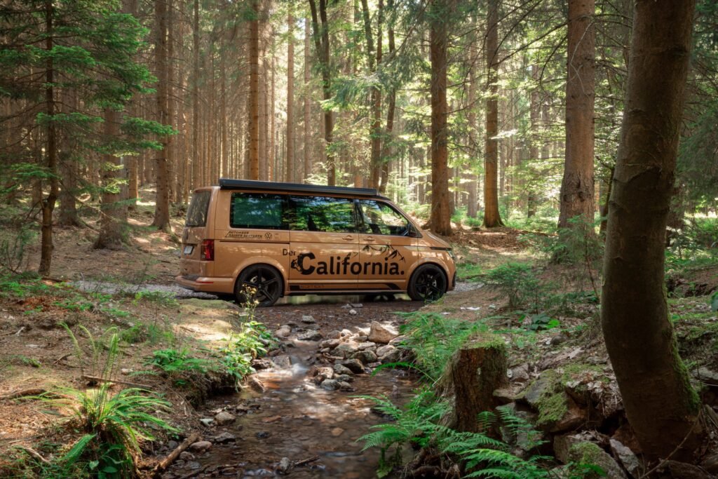 VW California auf einem Waldweg zwischen hohen Bäumen