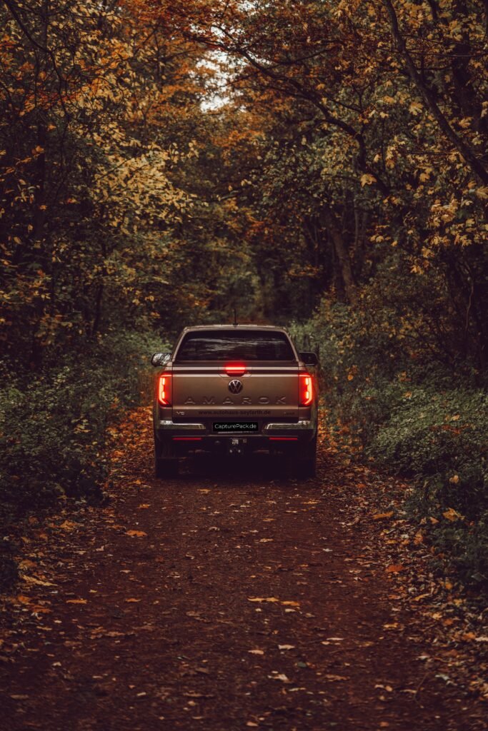 Fahrzeugheck auf einem herbstlichen Waldweg